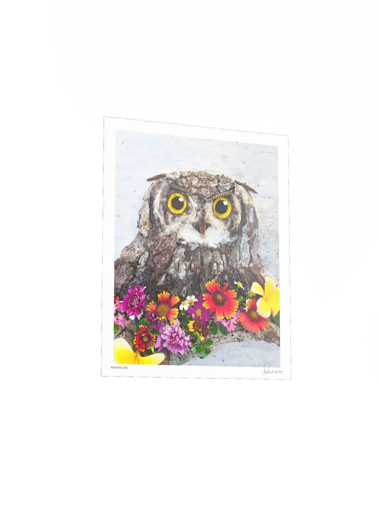 MORNING OWL | Fine Art Print product image (7)