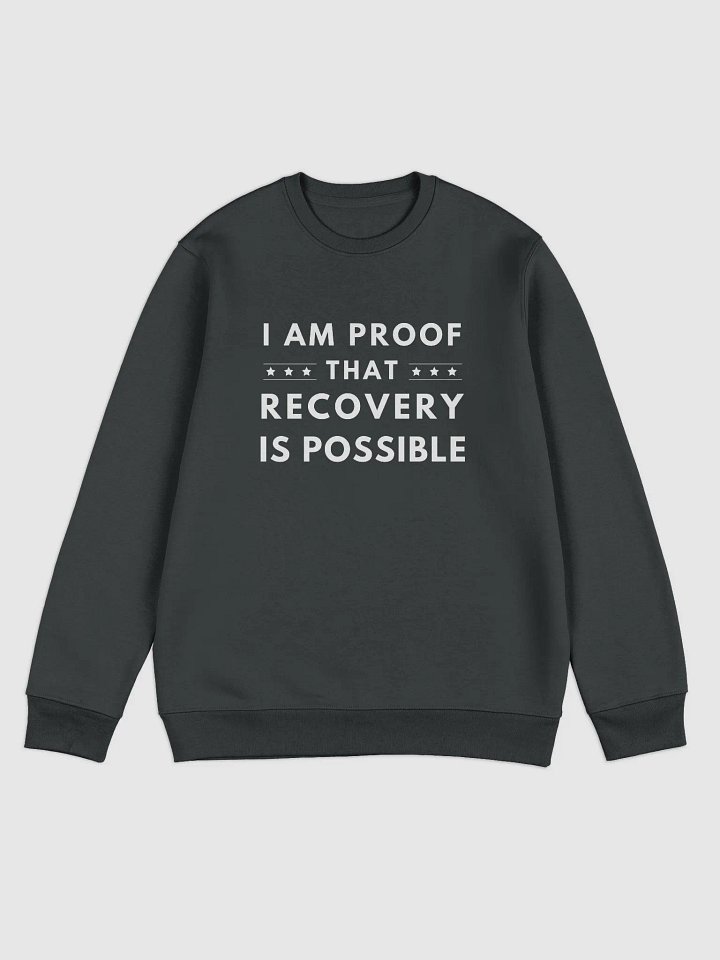 I Am Proof That Recovery Is Possible Sweater product image (3)
