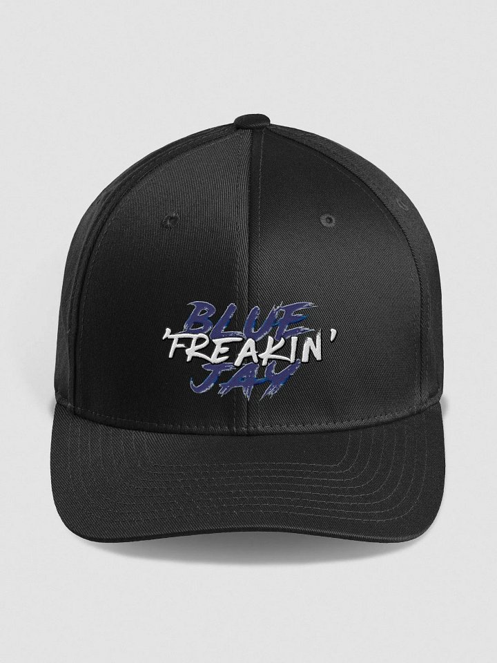 BTW Blue Freakin Jay fitted snap back product image (2)