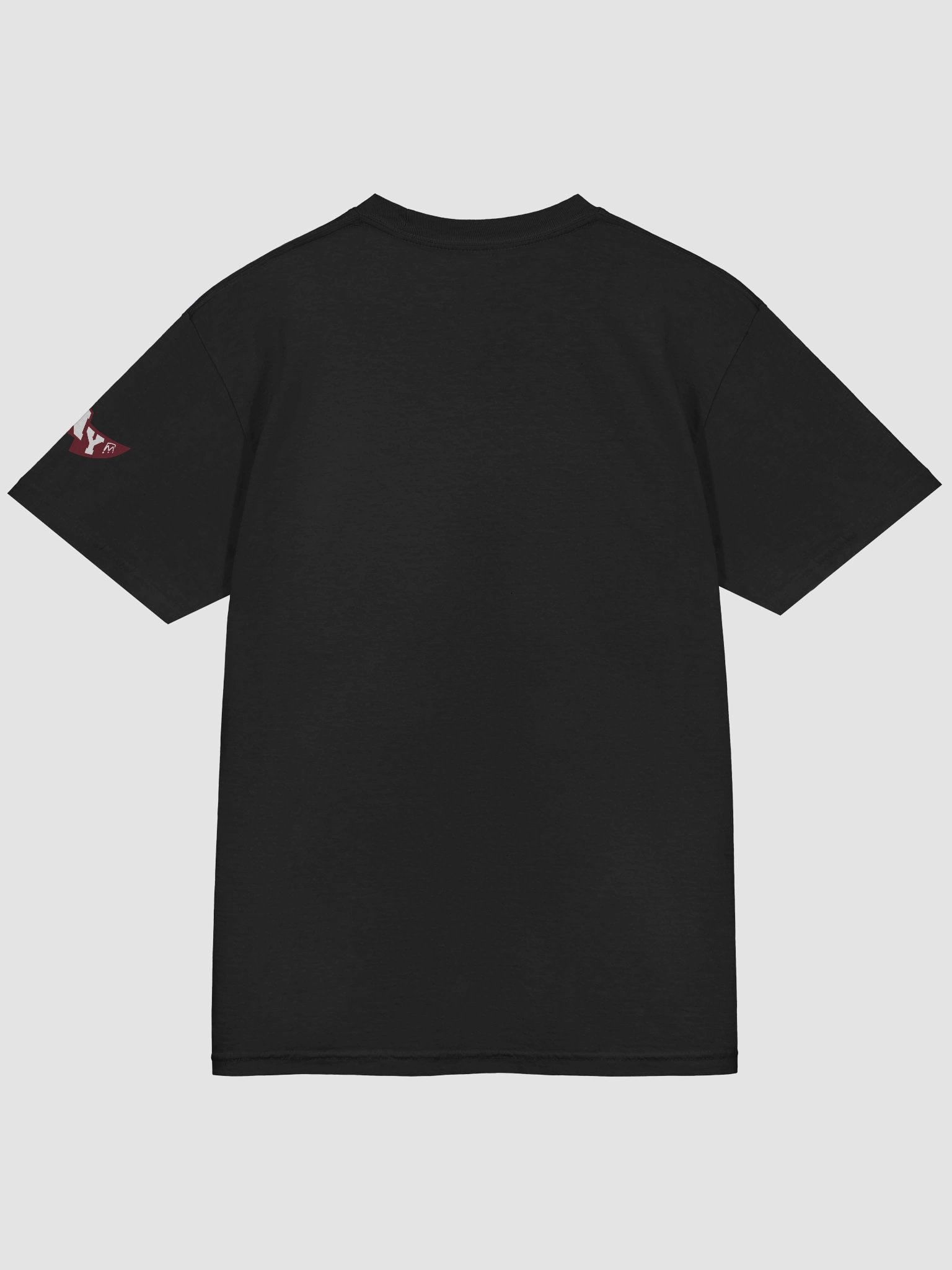 College Station, Welcome to Football Tee product image (35)