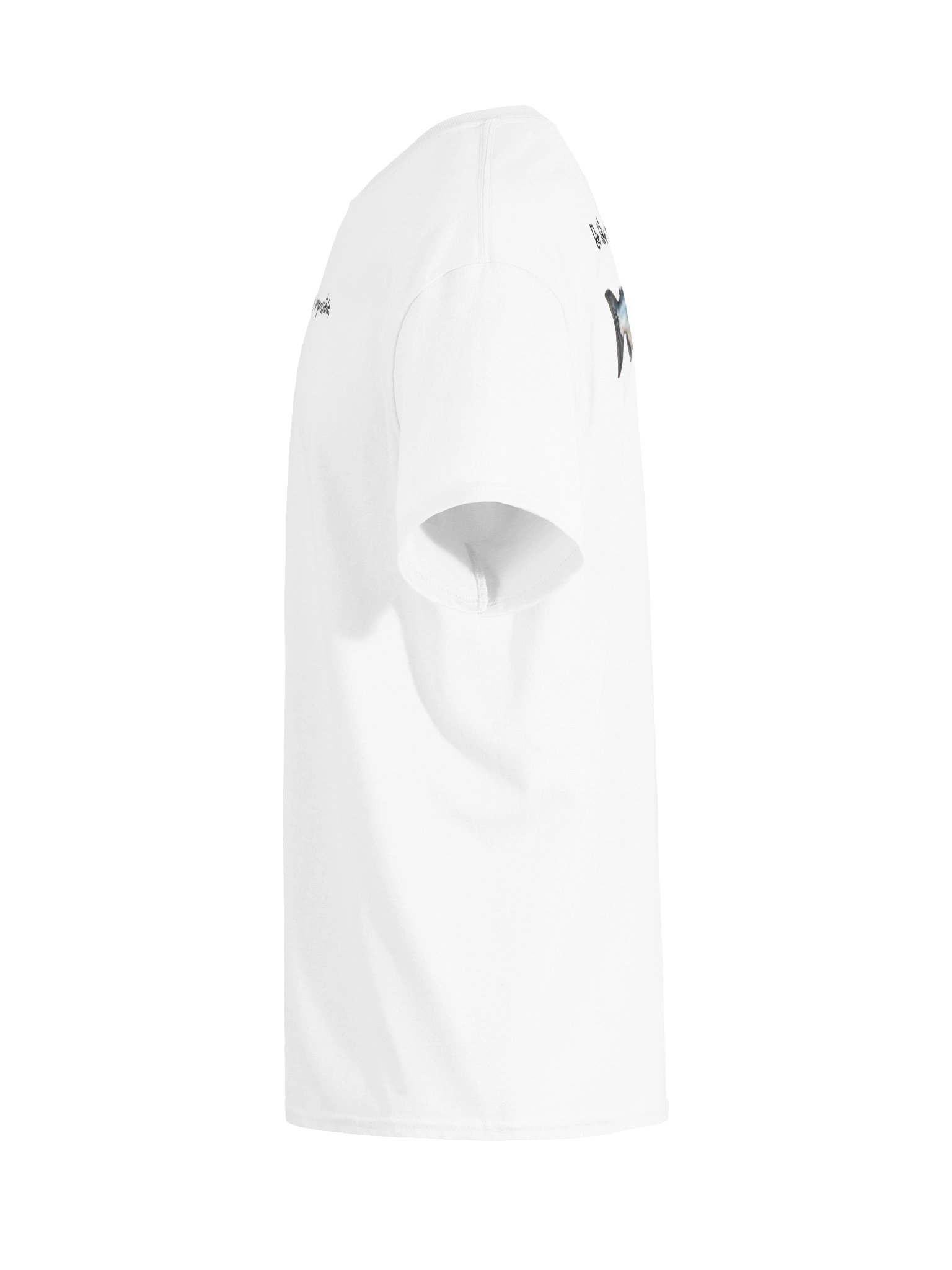 The Coho Manifesto Tee product image (65)