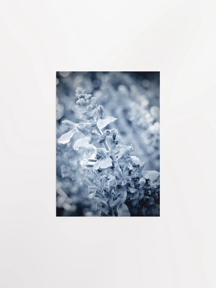 Wisteria 6 product image (7)