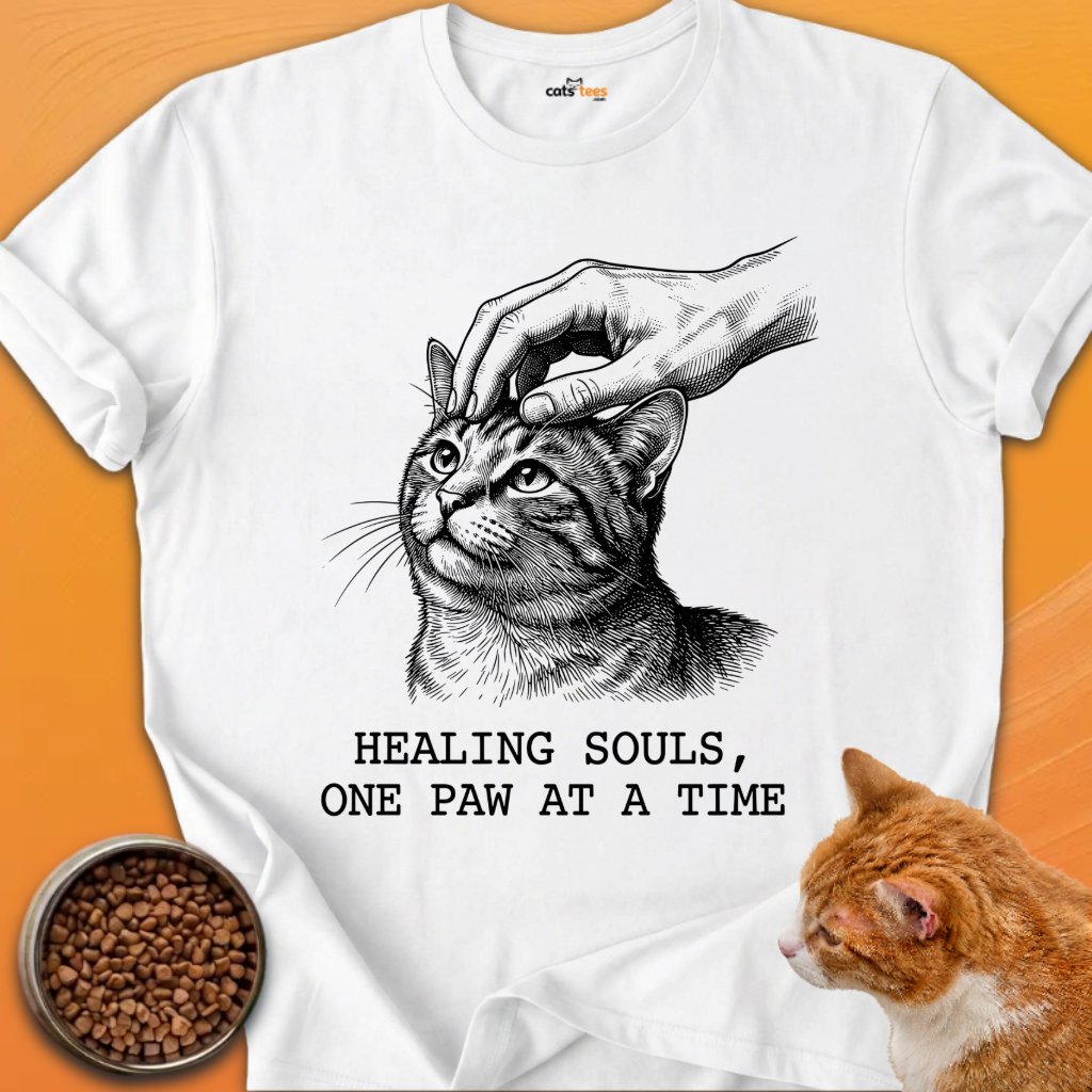 Healing Souls product image (1)