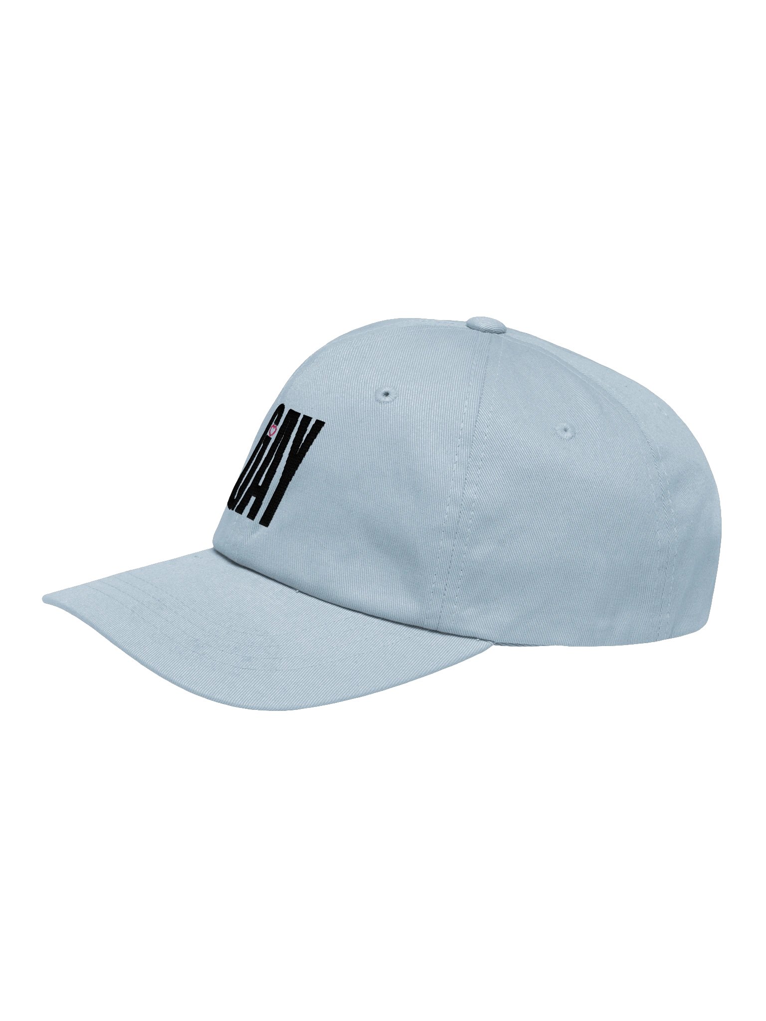 GAY DAD HAT product image (43)