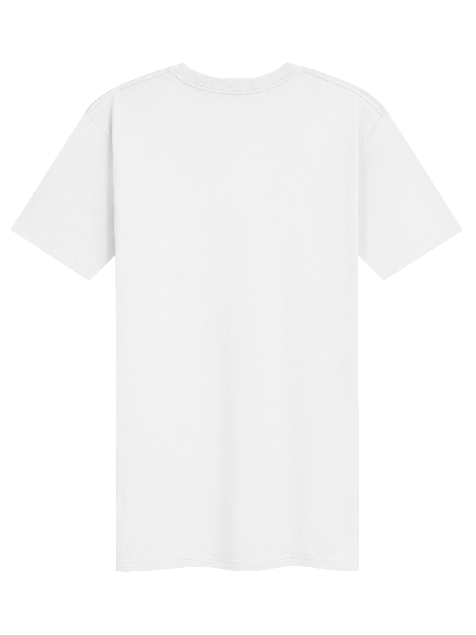 DMS Heavyweight Tee product image (6)