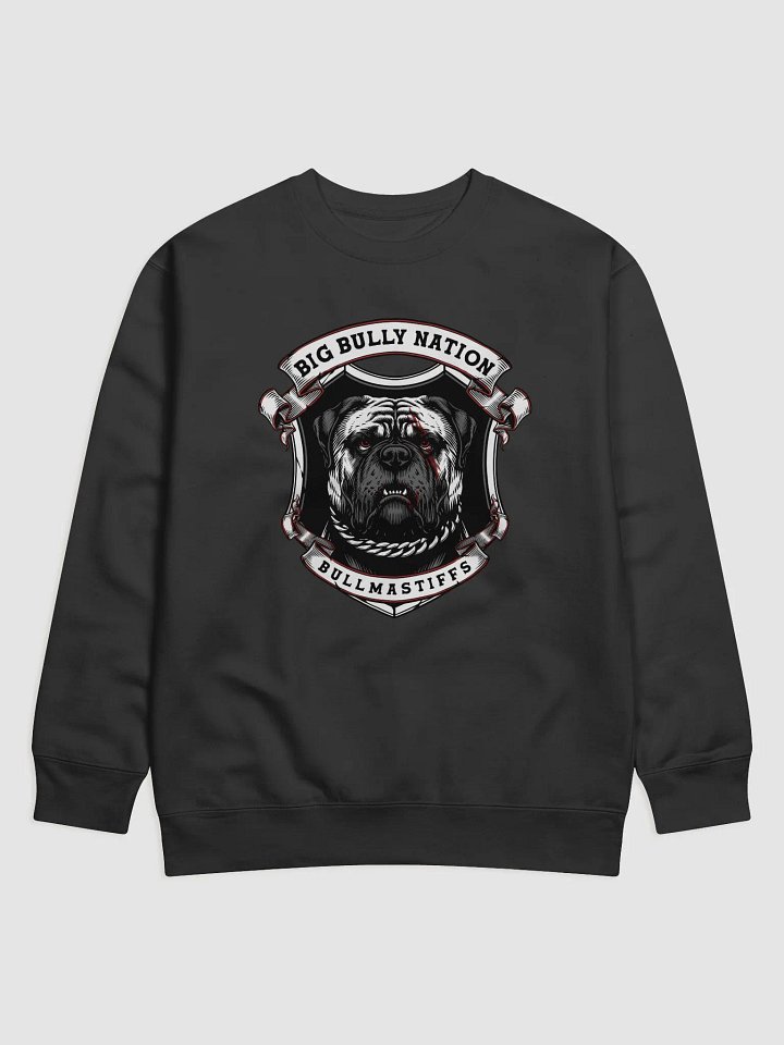 BBN Alter Ego Premium Sweatshirt product image (1)