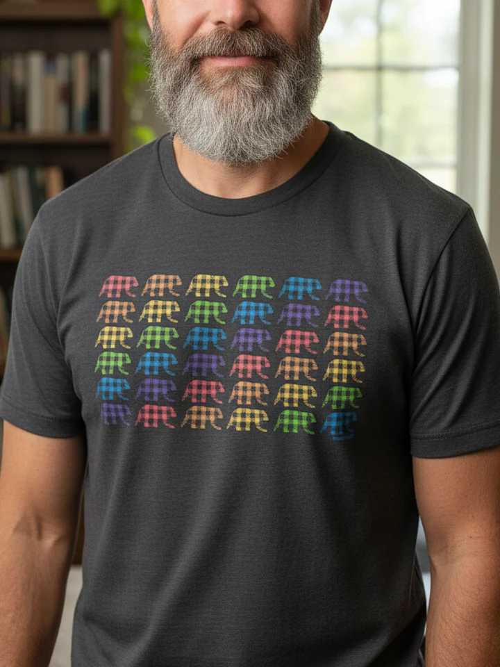 Rainbow Buffalo Check Bear Pride T-Shirt product image (2)