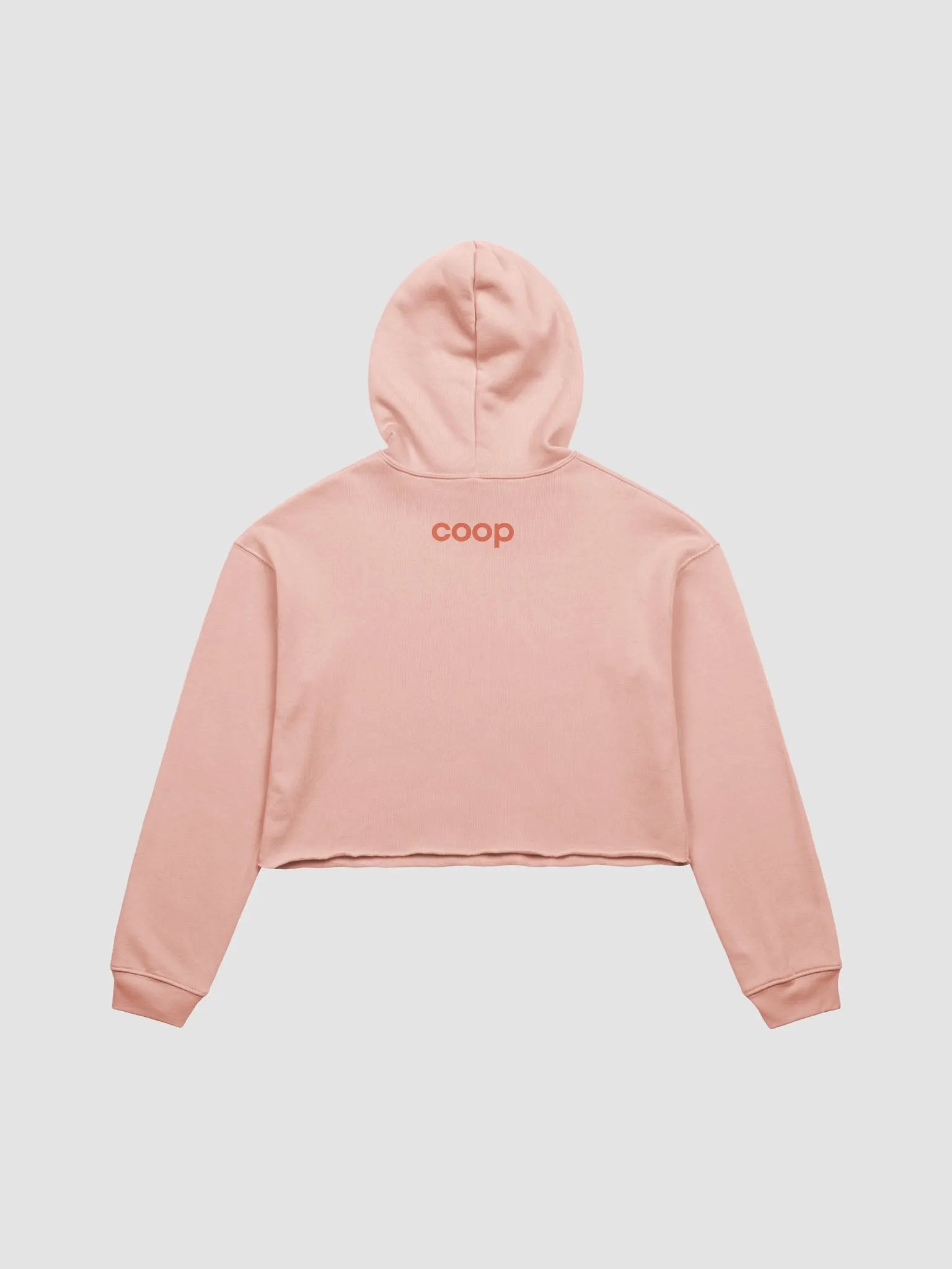 CHICKEN DADDY Cropped Hoodie product image (2)