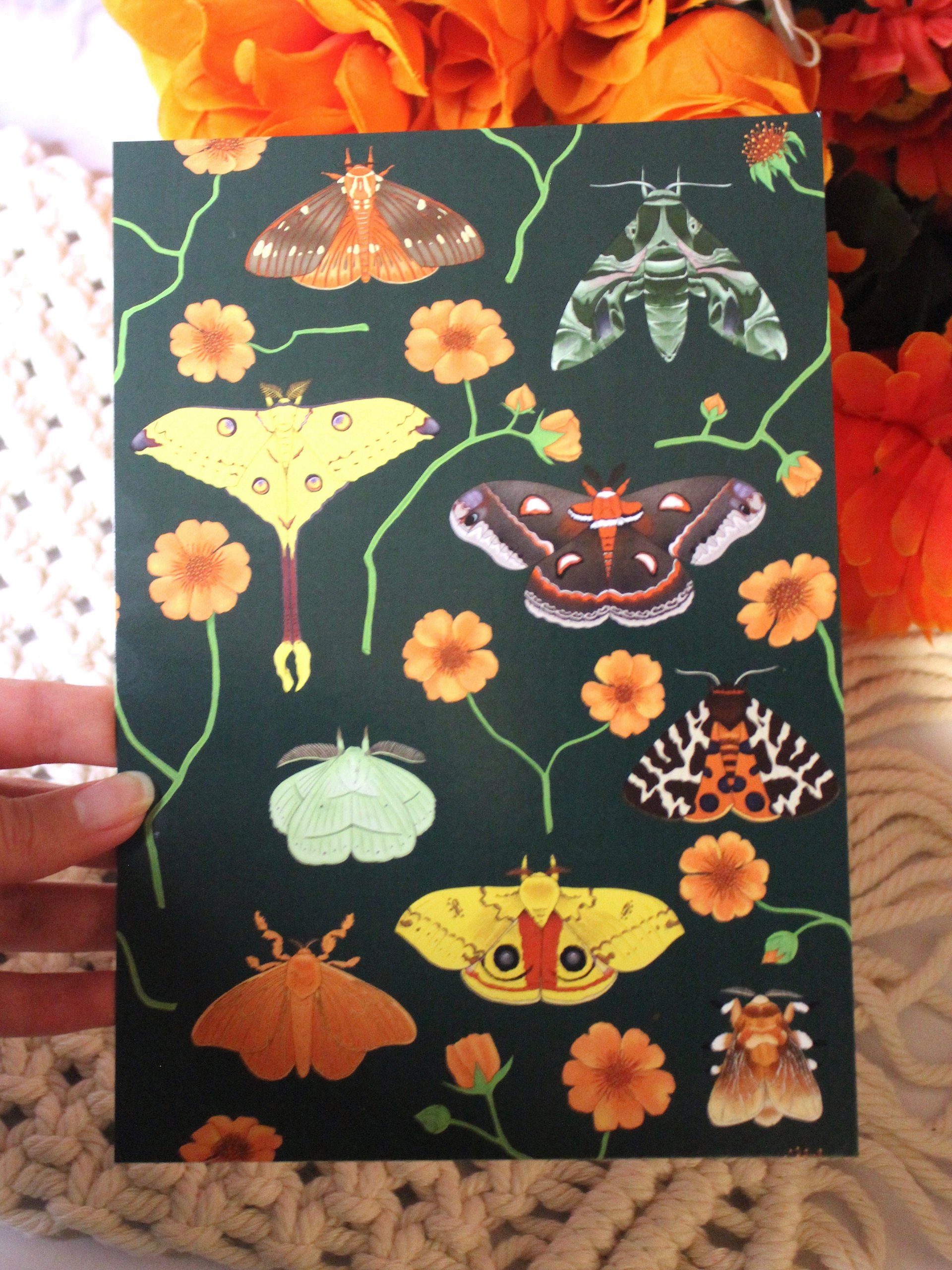 Floral Moths Print product image (4)