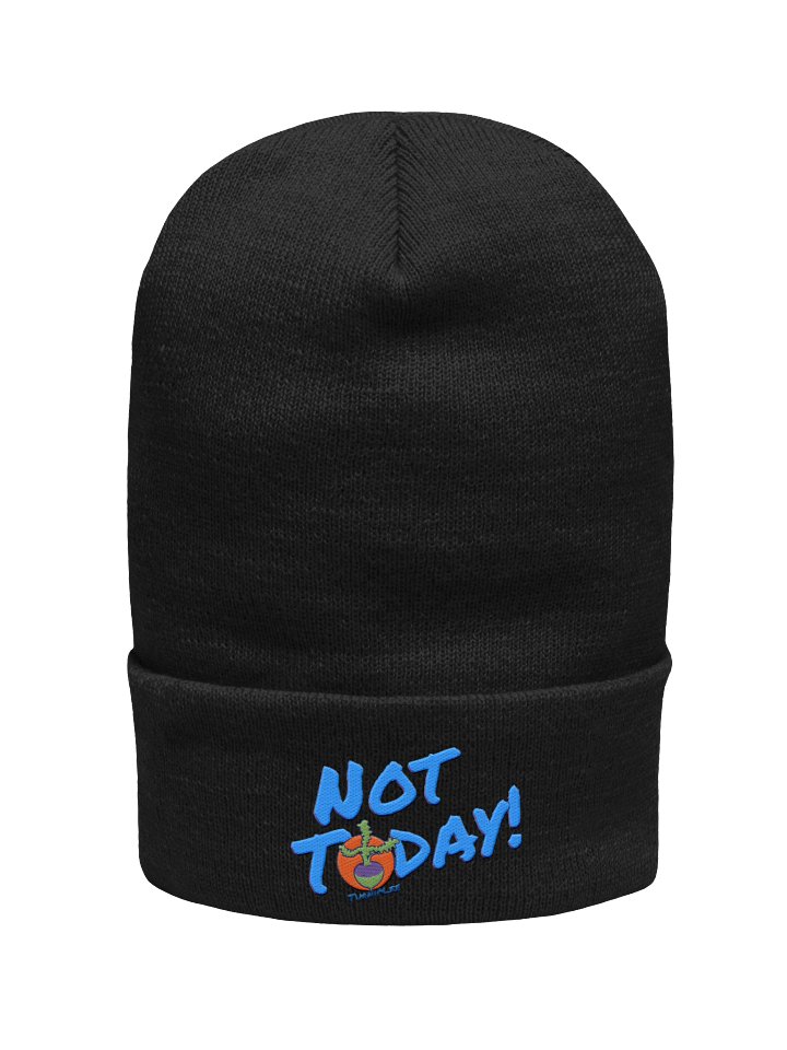 NT Cuffed Beanie product image (6)