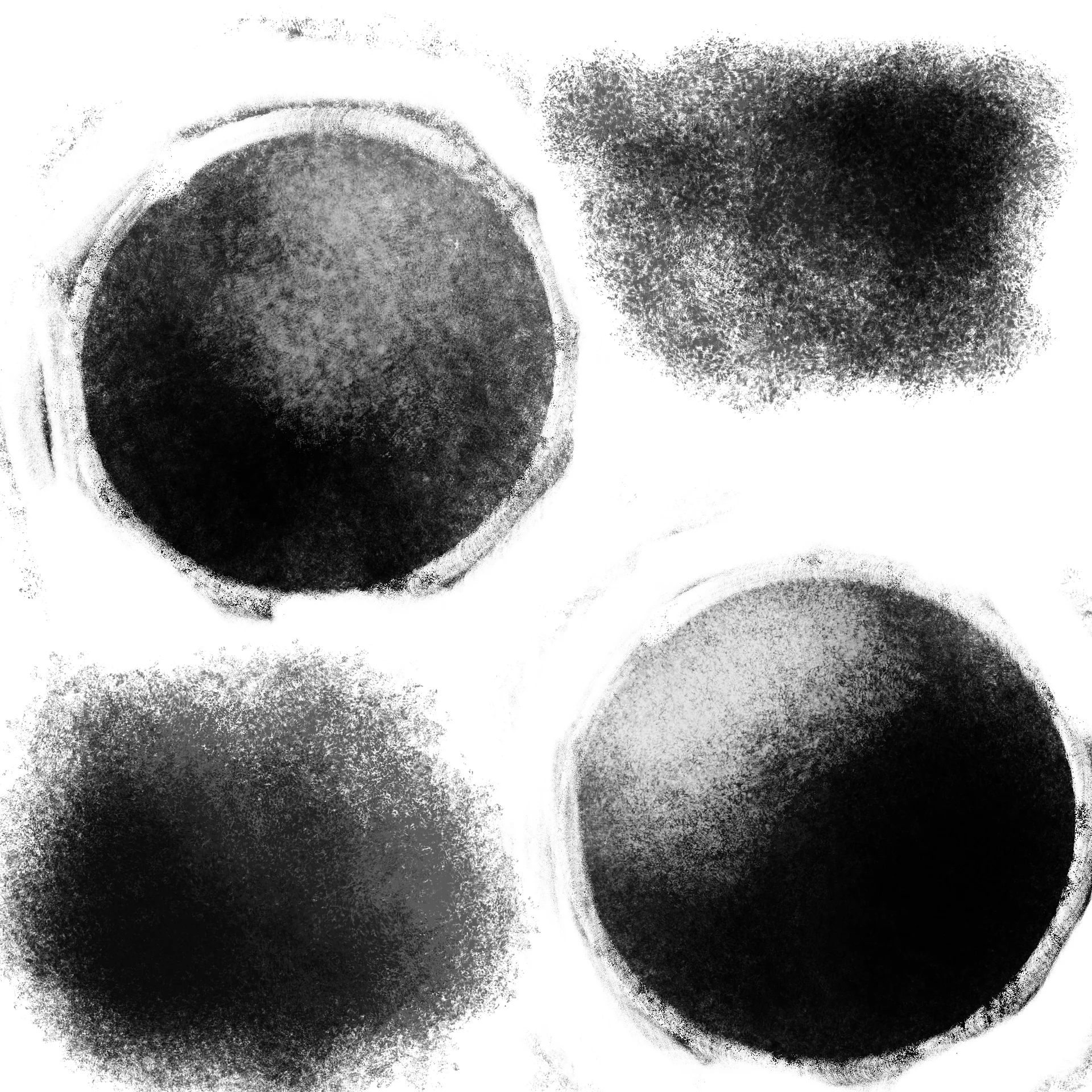 Sandy Shore Brushes for Procreate product image (4)