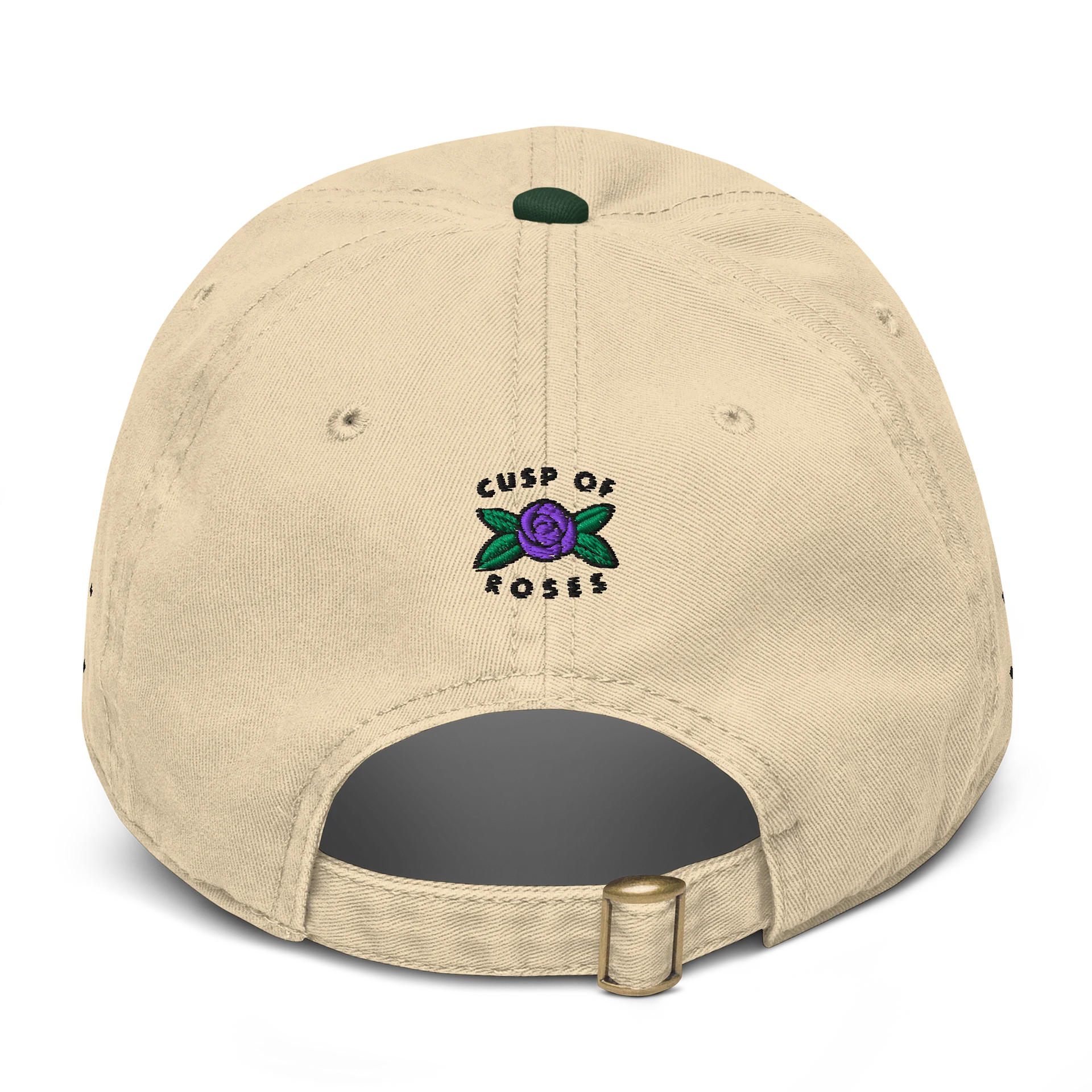 pisces aries cusp zodiac dad hat (black) product image (2)