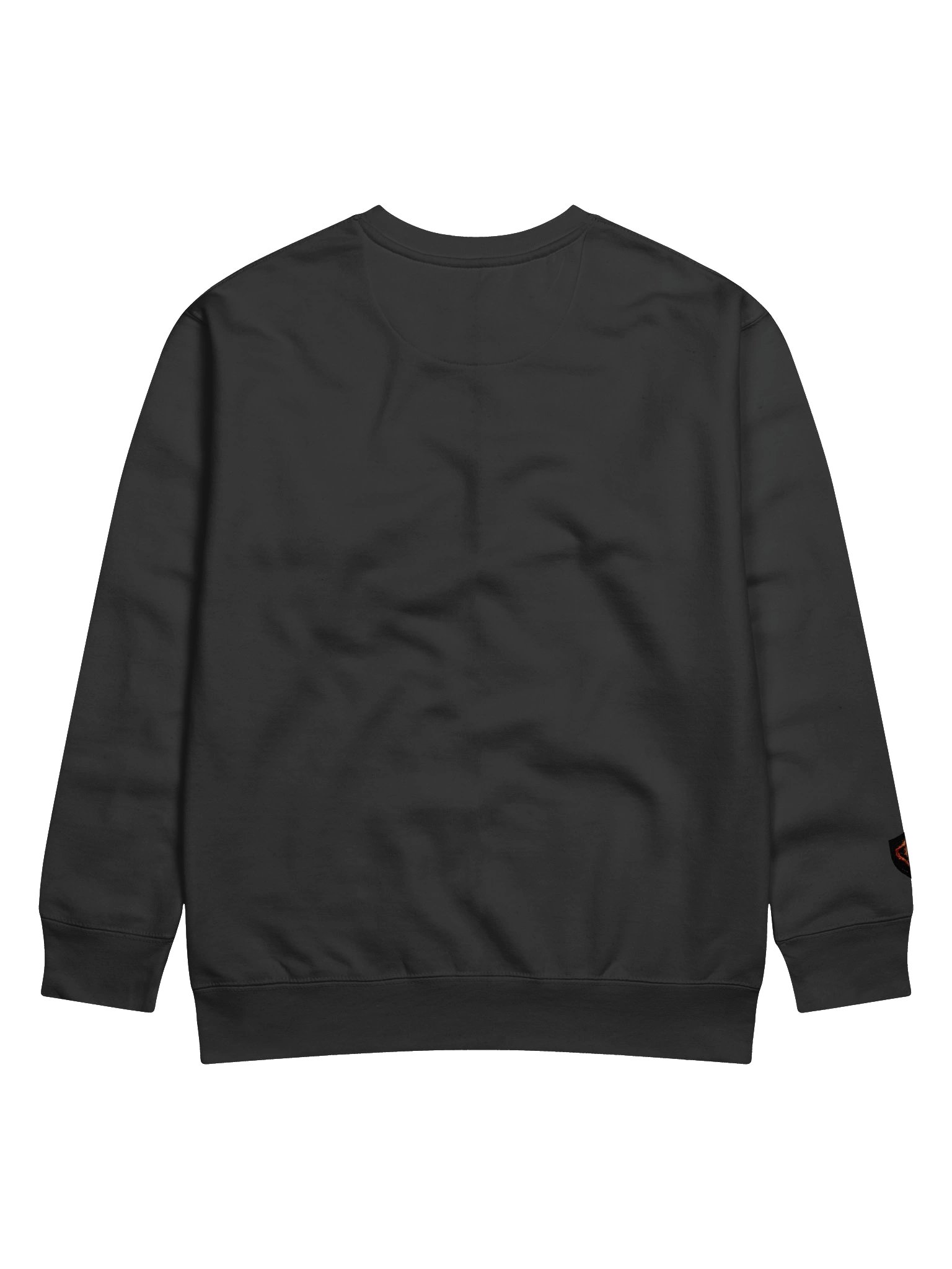 Sweatshirt with sticked logo and Sigil product image (4)