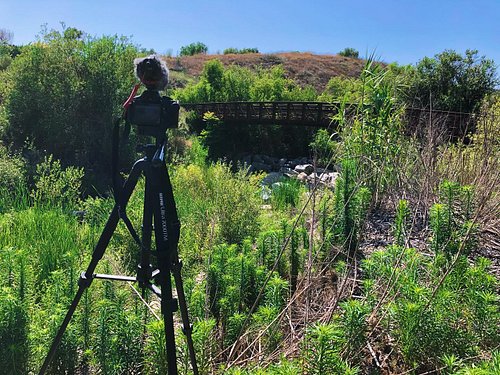 Slow day today, capturing scenic sights and sounds along the #alisocreekbikeway !

#southorangecounty #californiabiketrails #...