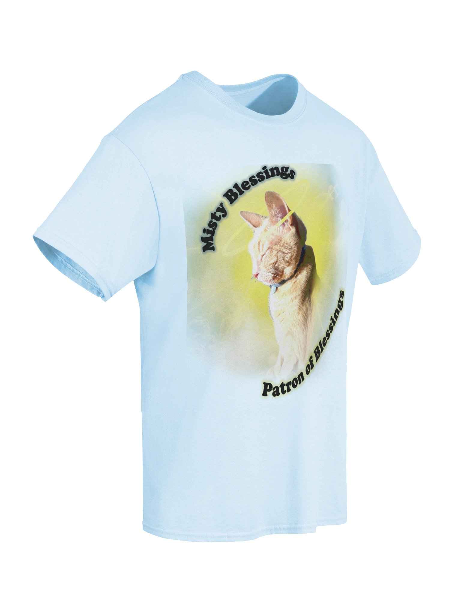 You've Been Blessed T-SHIRT (Full Front) product image (70)