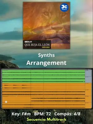 🎛️ Synths Arrangement del 