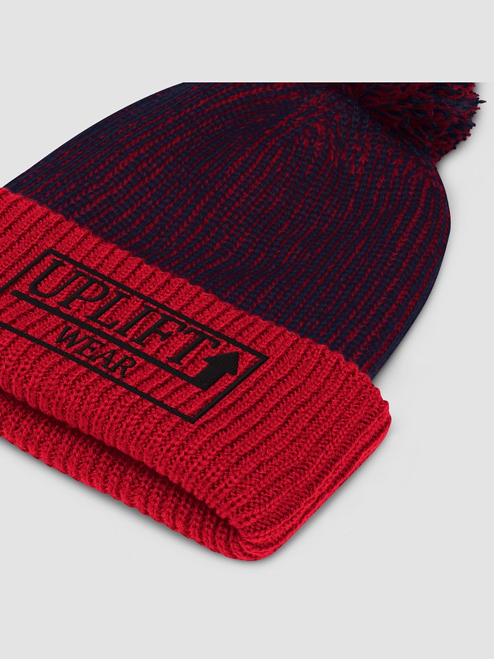 Two-Toned Embroidered Winter Beanie product image (2)