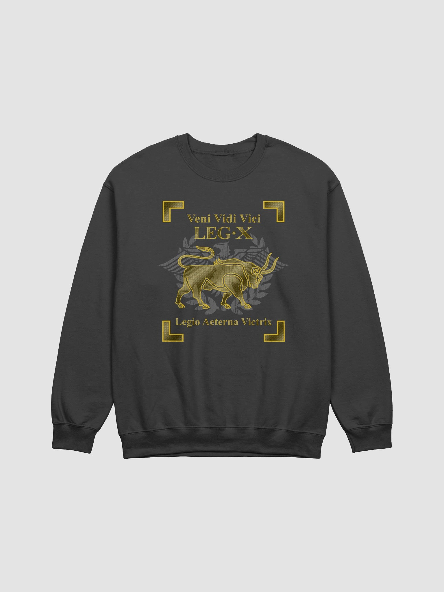 Legion X - veni vidi vici - Sweatshirt product image (1)