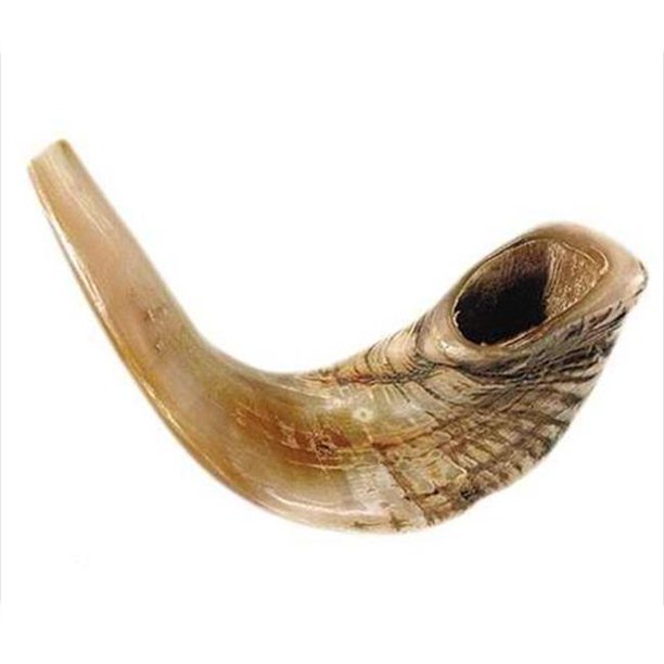 Standard Ram's Horn product image (1)