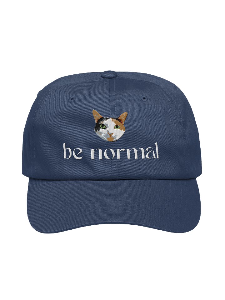 Be Normal Dad Cap product image (17)