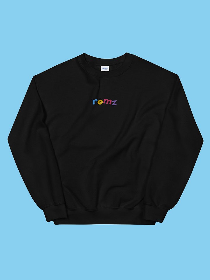 Embroidered Sweatshirt product image (1)
