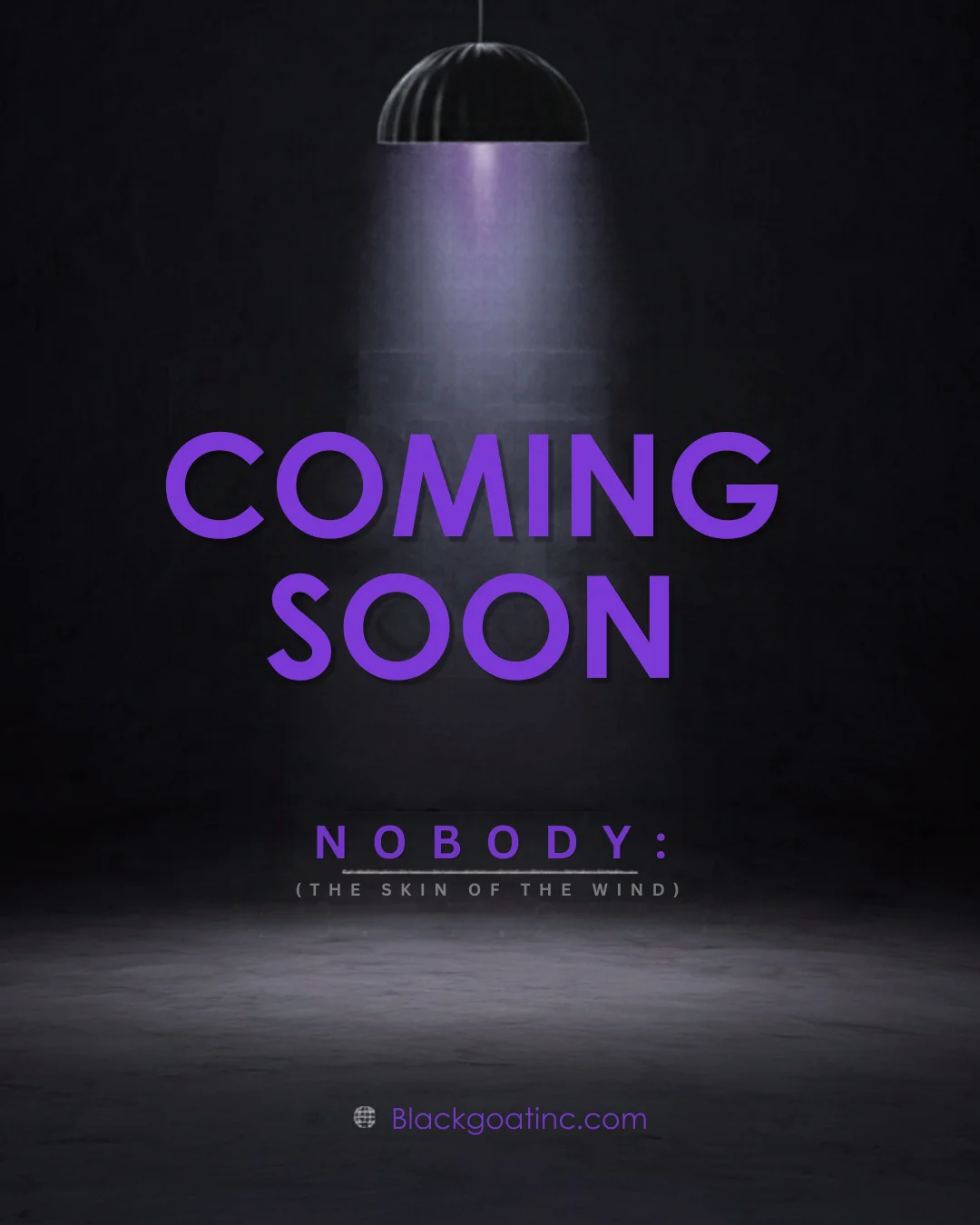 Nobody (The Skin of The Wind) product image (1)