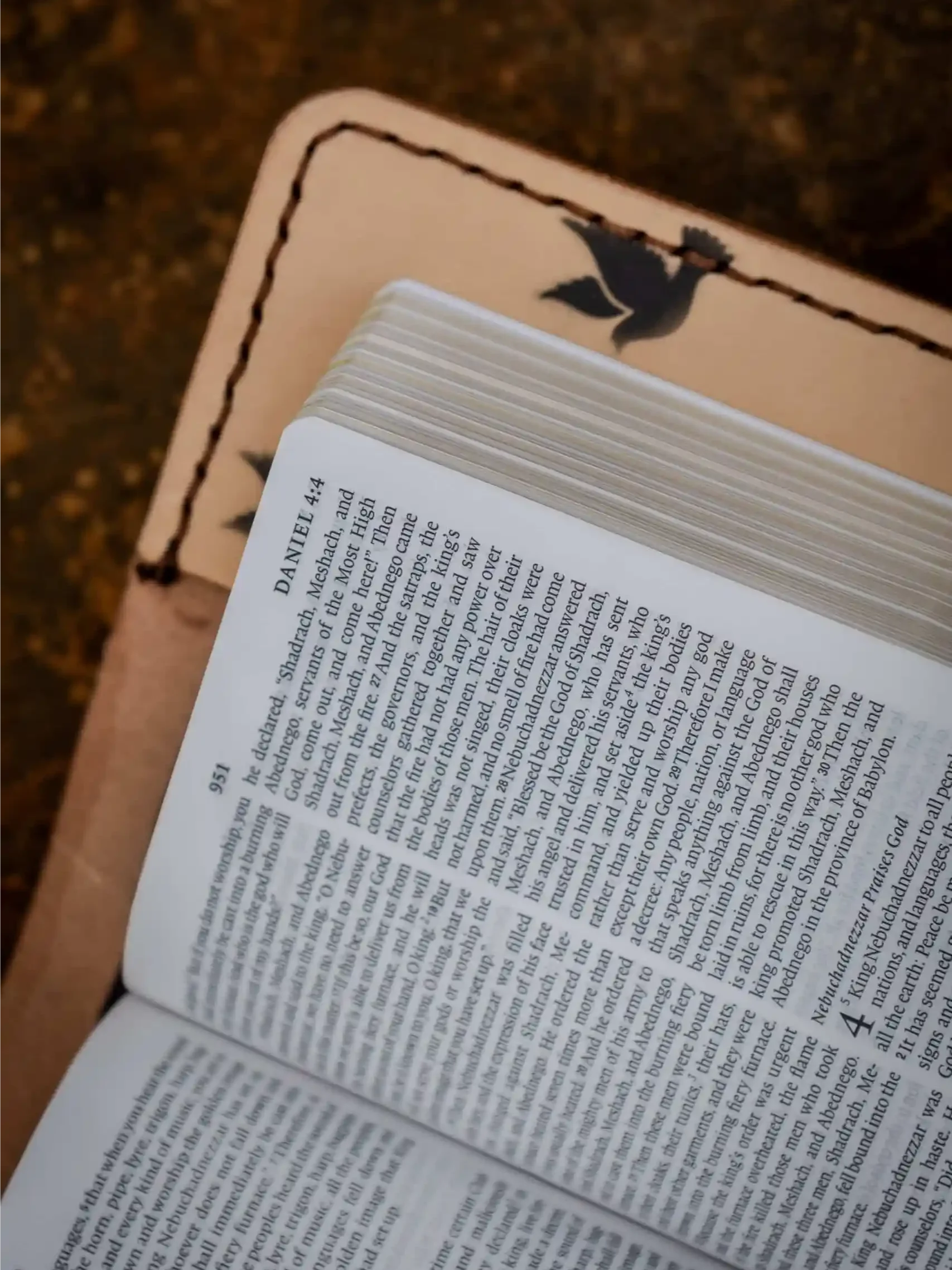 Doves Bible product image (4)