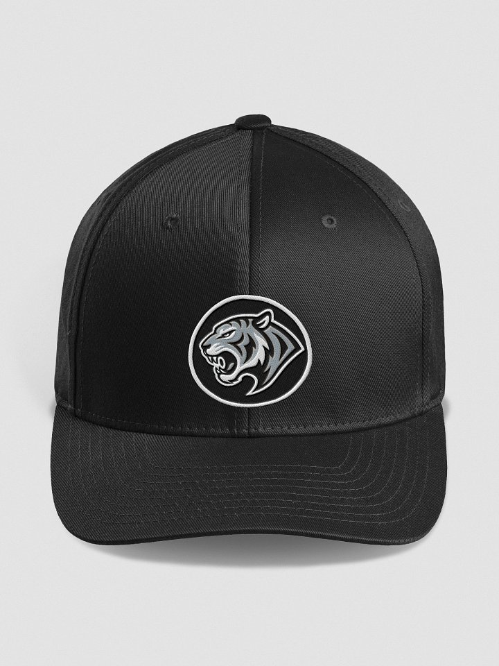 LGSC Thundercats Flexfit Cap product image (4)