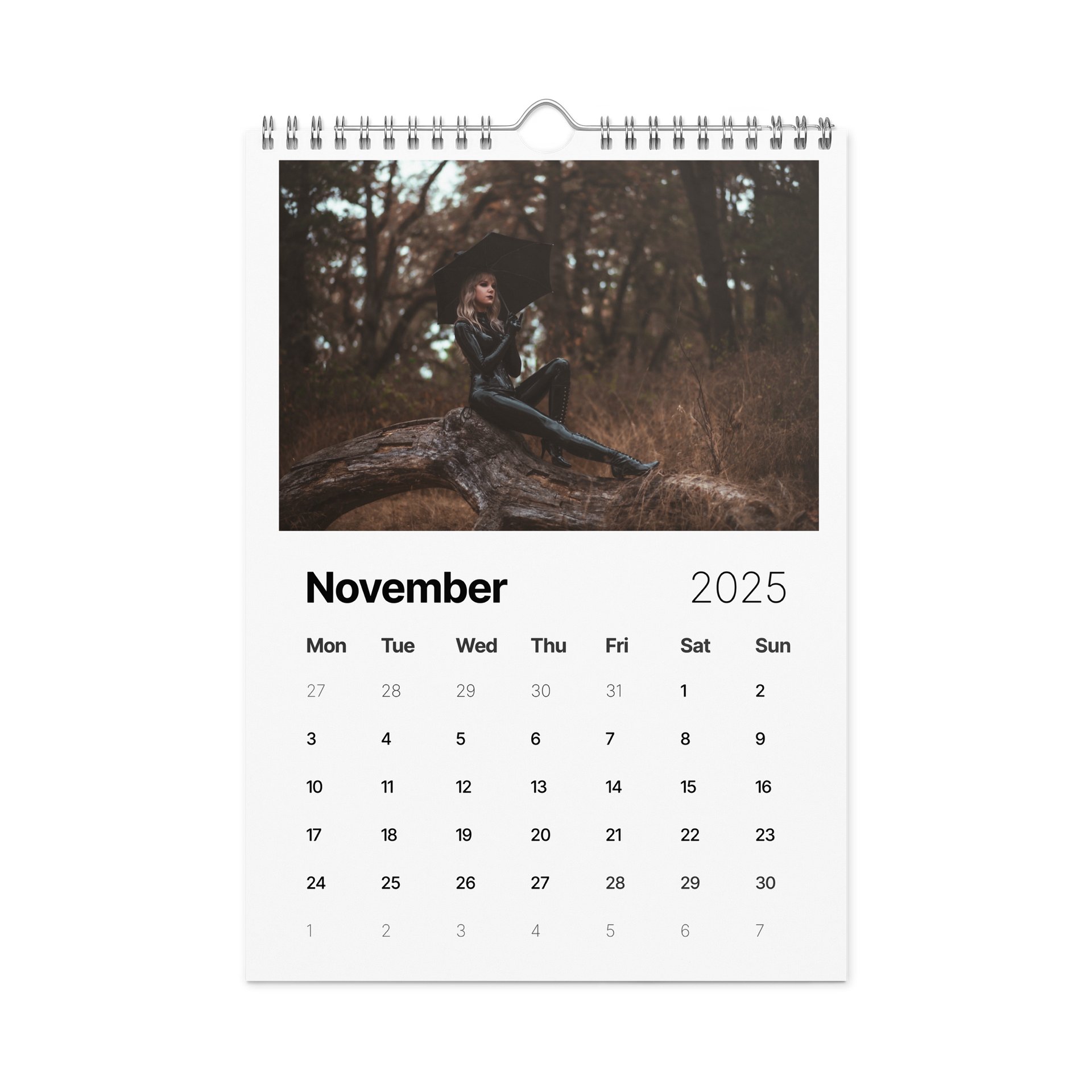 2025 Hiss Calendar product image (11)