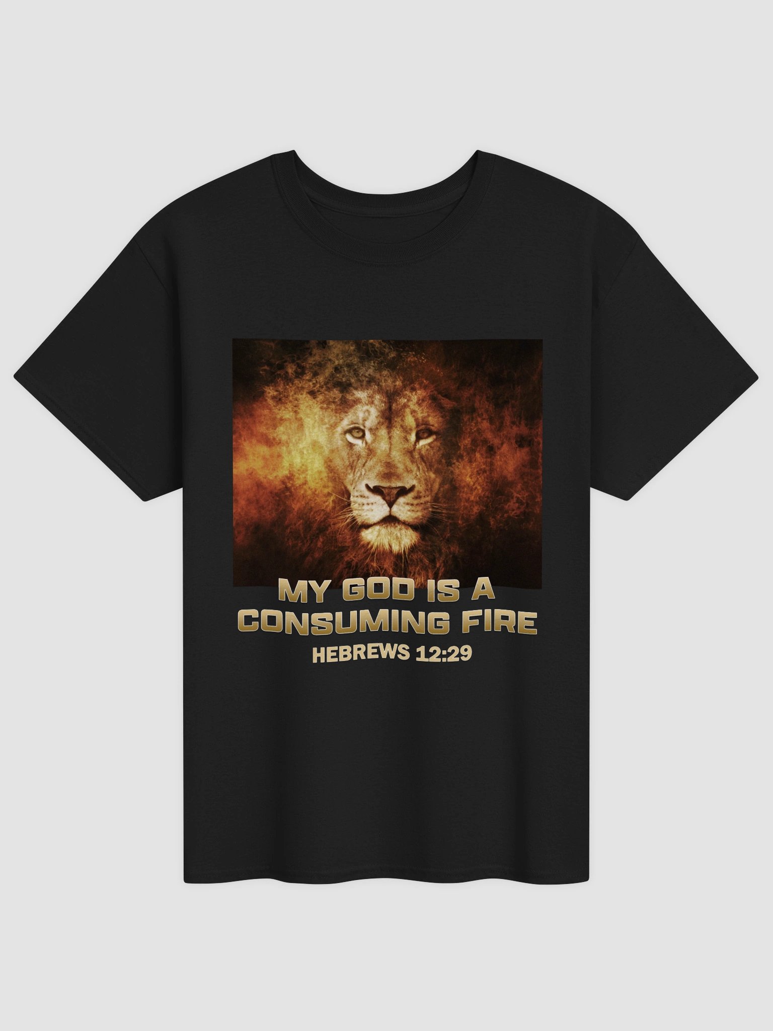 My God Is A Consuming Fire T-Shirt product image (1)