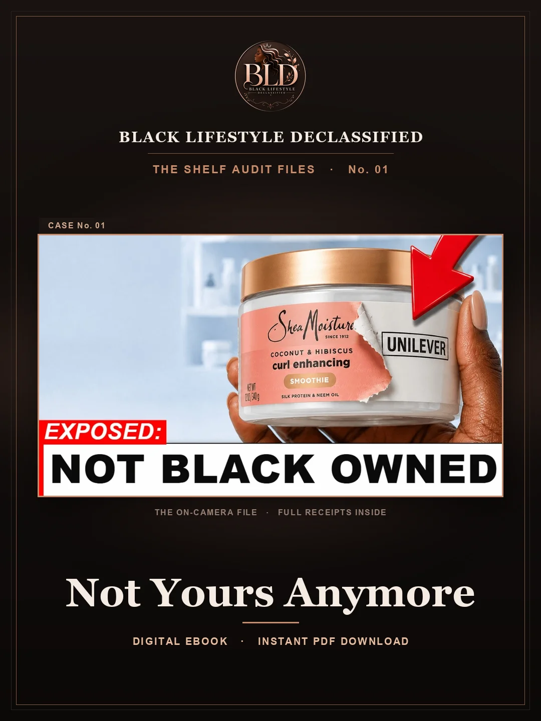 The Shelf Audit Files No. 01 — Not Yours Anymore product image (1)