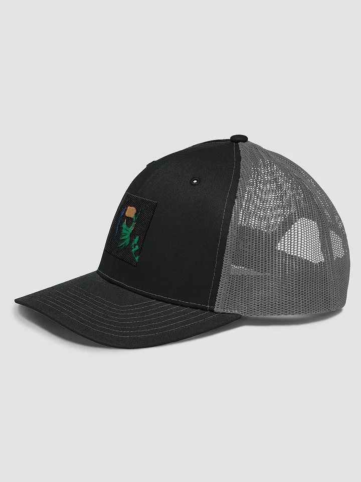 WILDCARD - Snapback Hat product image (2)