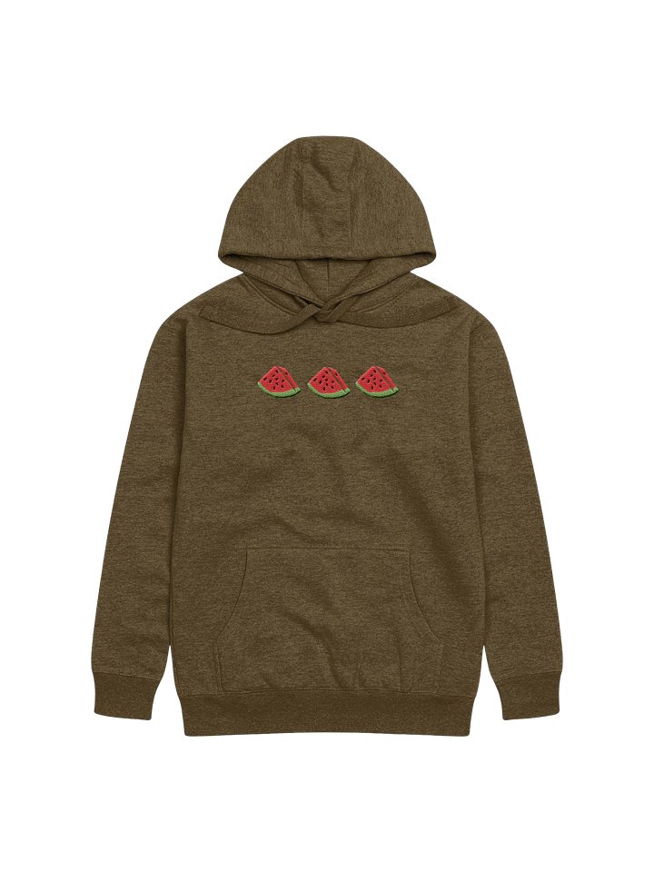 Sandia Embroidered Hoodie (green) product image (1)
