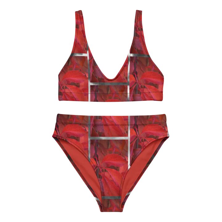 High-Waisted Bikini Set: Vildvin Red Dreams product image (1)