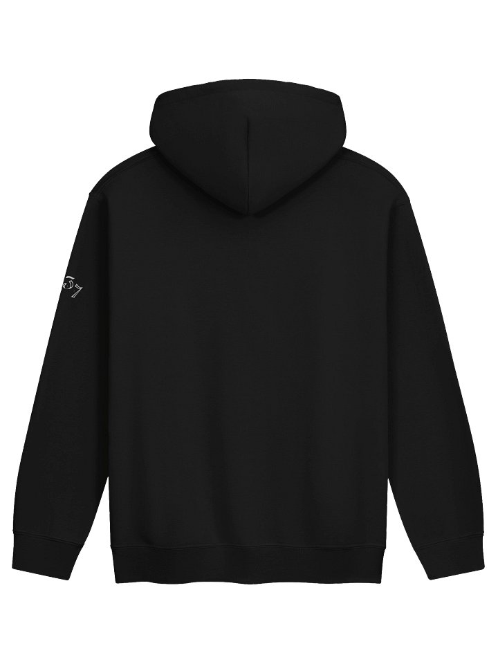 FLTP Teal Hoodie product image (2)