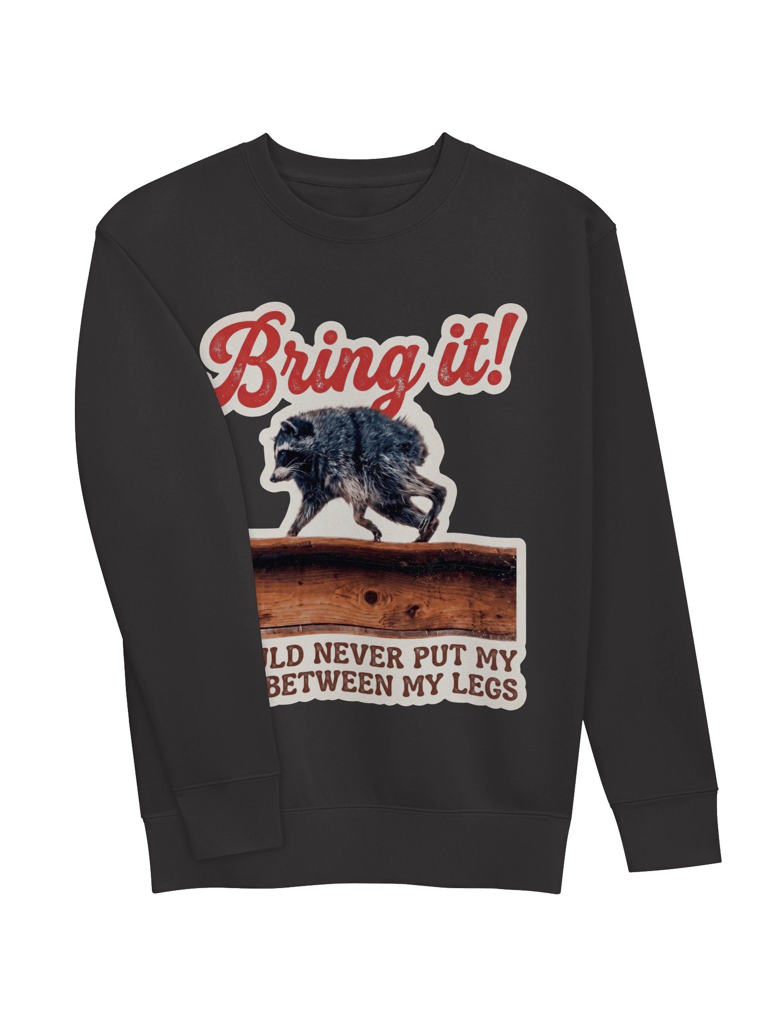 Bring it! Sweatshirt product image (4)