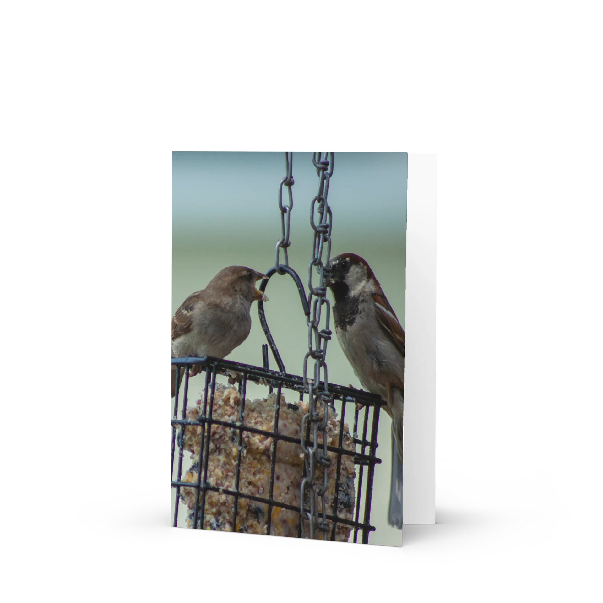 Sparrow Serenade Greeting Card product image (1)