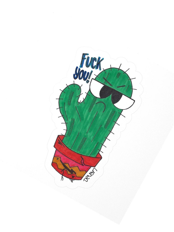 Rude Cactus Sticker product image (2)