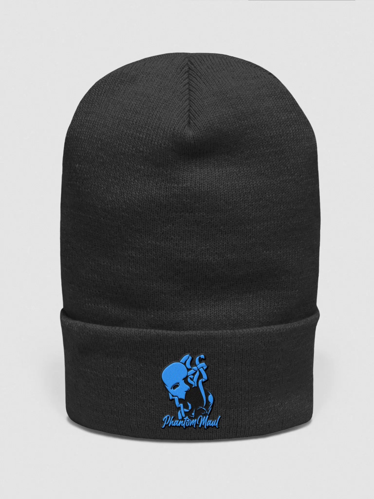 Blue Logo Beanie product image (1)