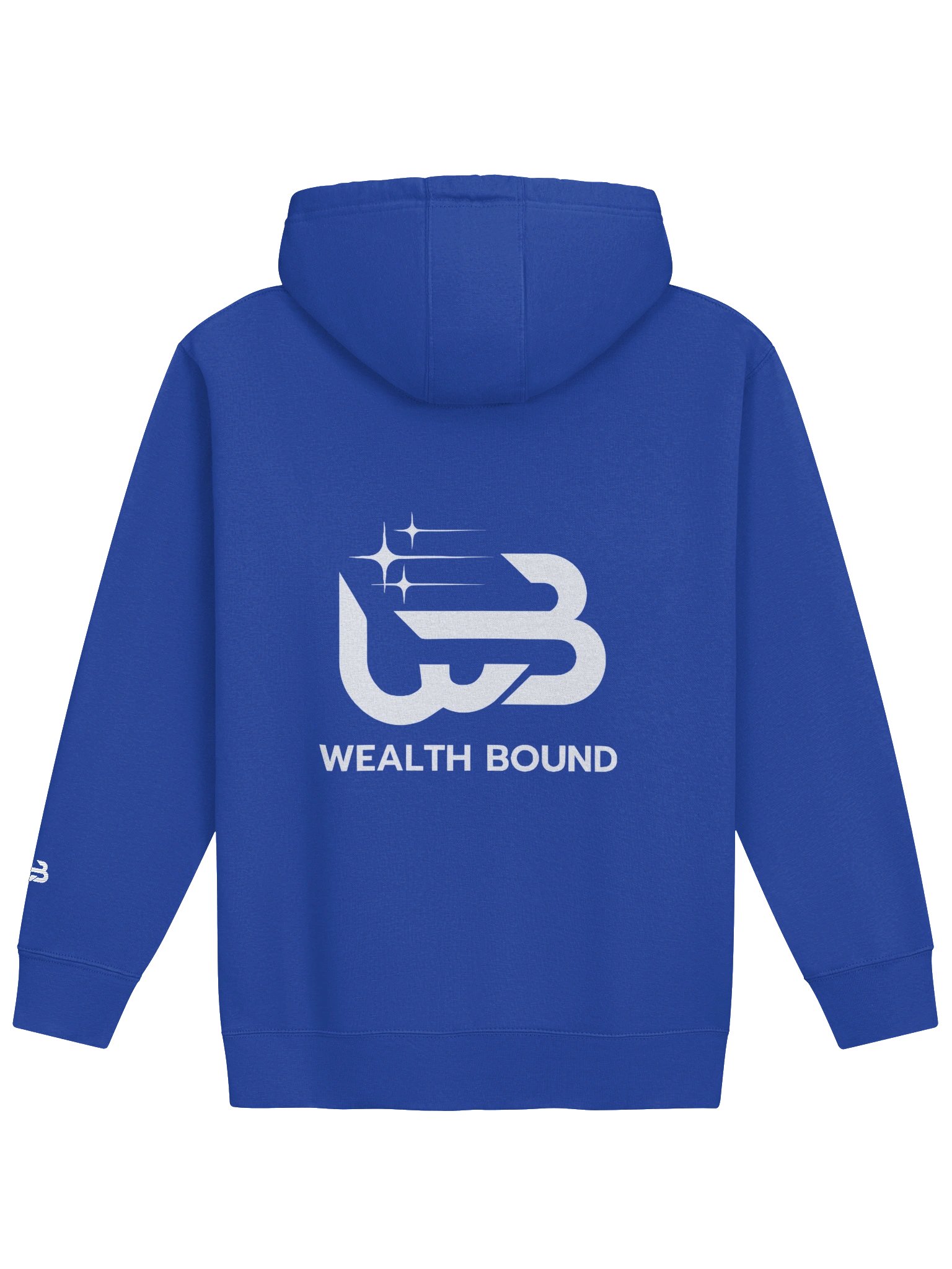 Wealth Bound Unisex Premium Hoodie product image (3)