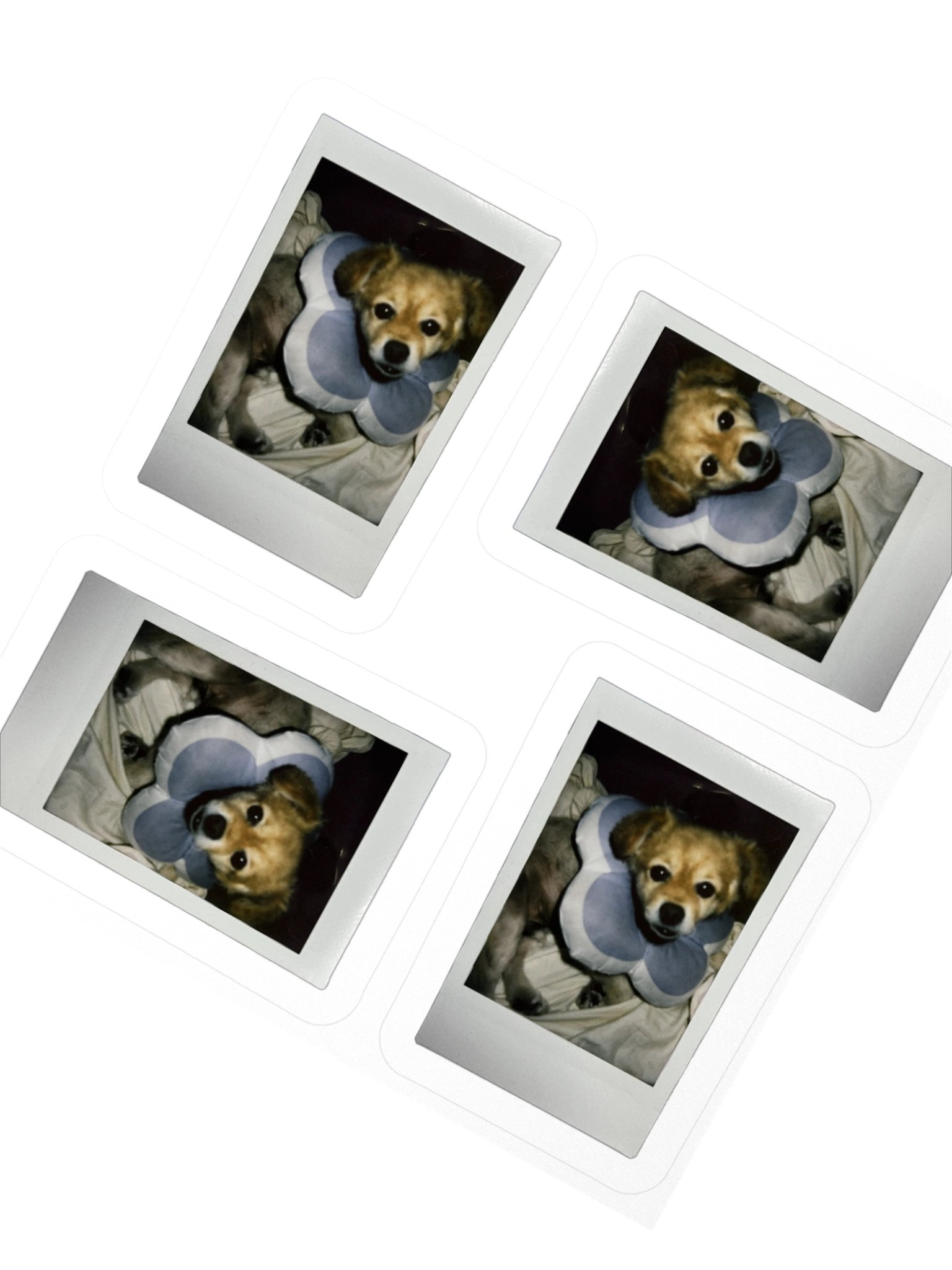 For your friends product image (6)