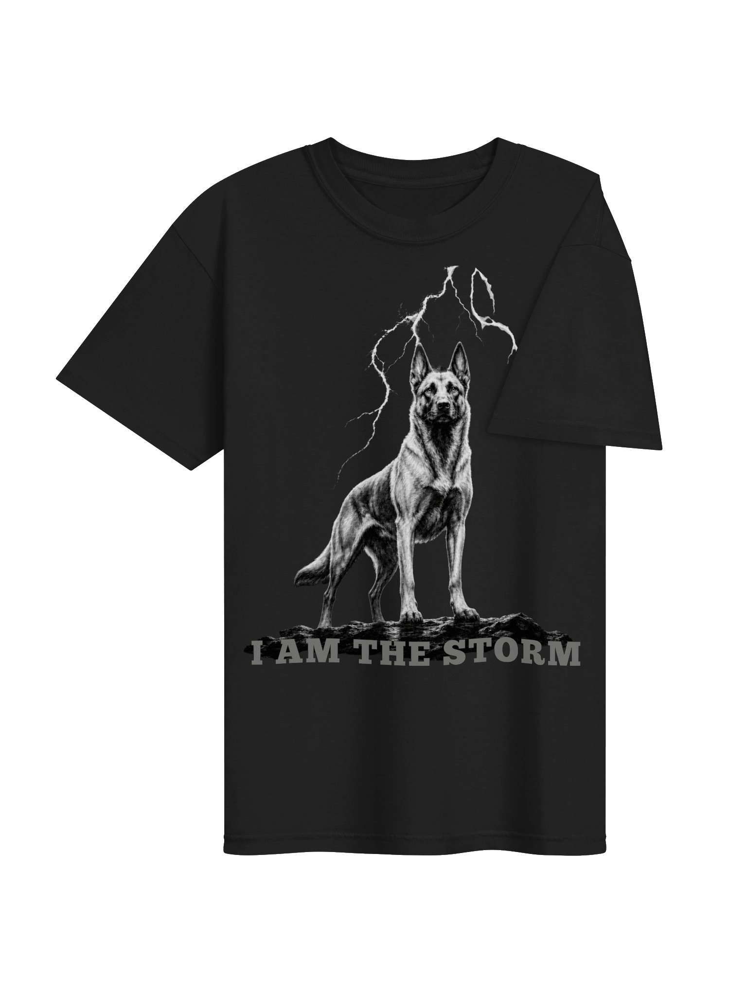 I AM THE STORM product image (12)