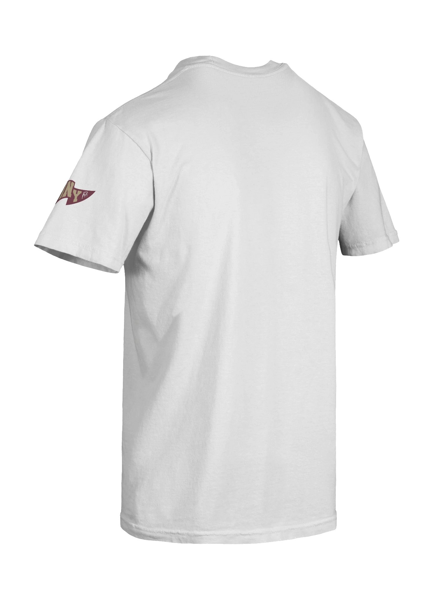 Tallahassee, Welcome to Football Tee product image (40)
