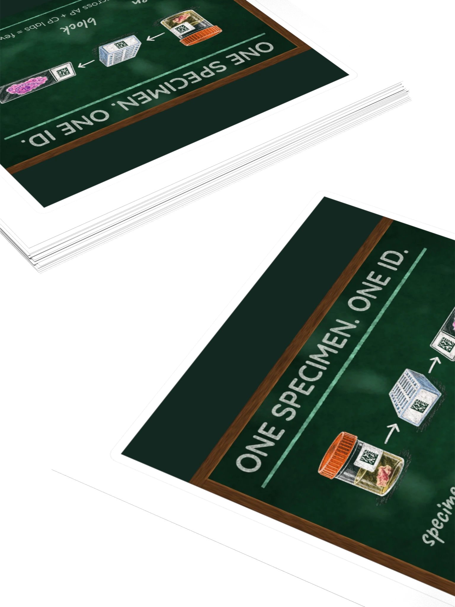 DoctorsDocMD - One Specimen. One ID. Sticker product image (4)