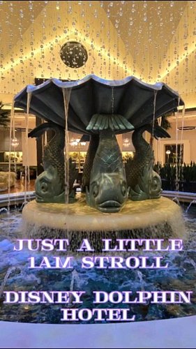Day 0 of the Florida part of my vacation 😊
Just a little wander around the hotel in the early hours of the morning before bed...