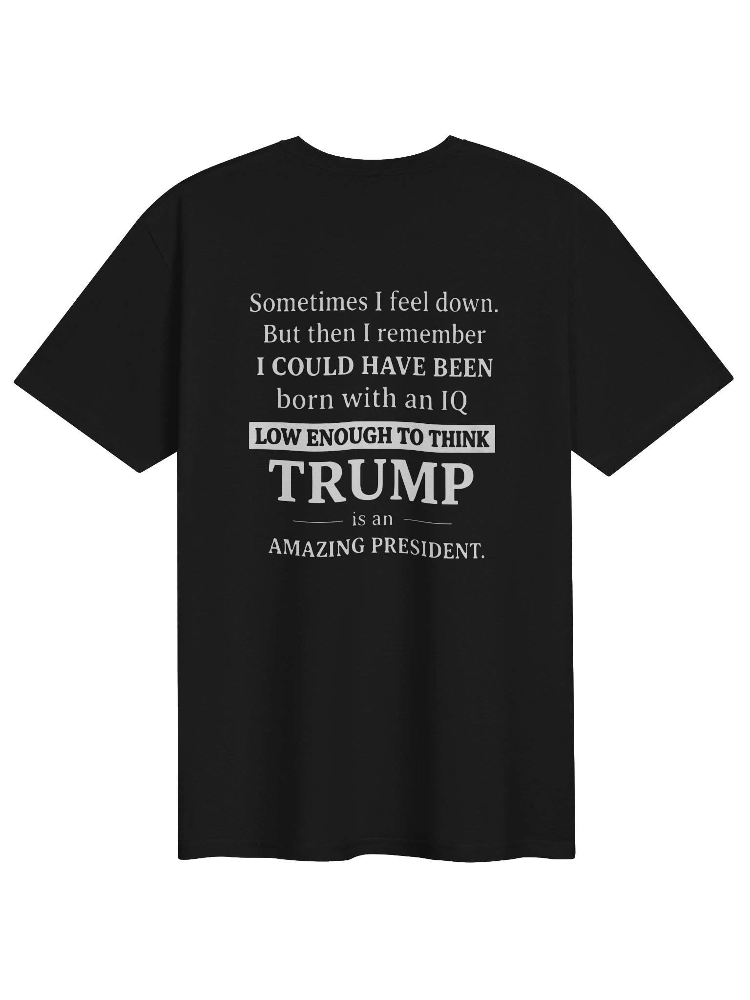 Sometimes I Feel Down I Could Have Been Trump Shirt product image (1)