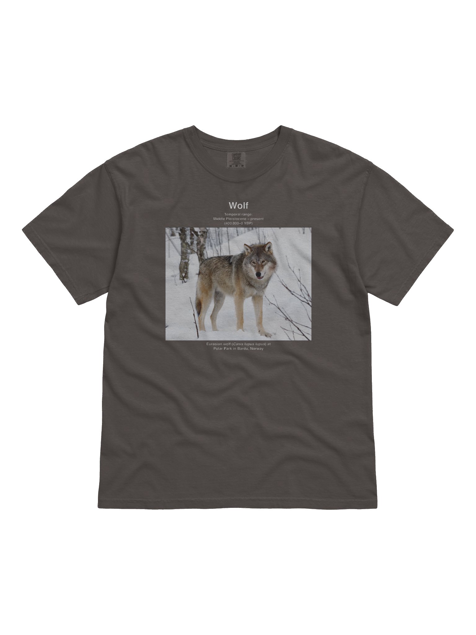 Wolf Wikishirt product image (1)