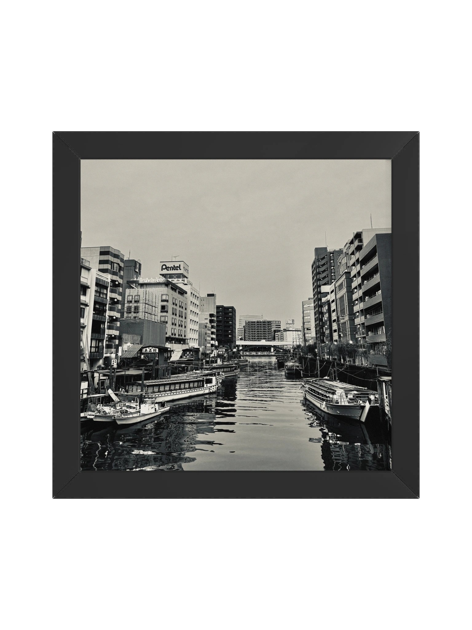 Tokyo Nihonbashi River product image (1)