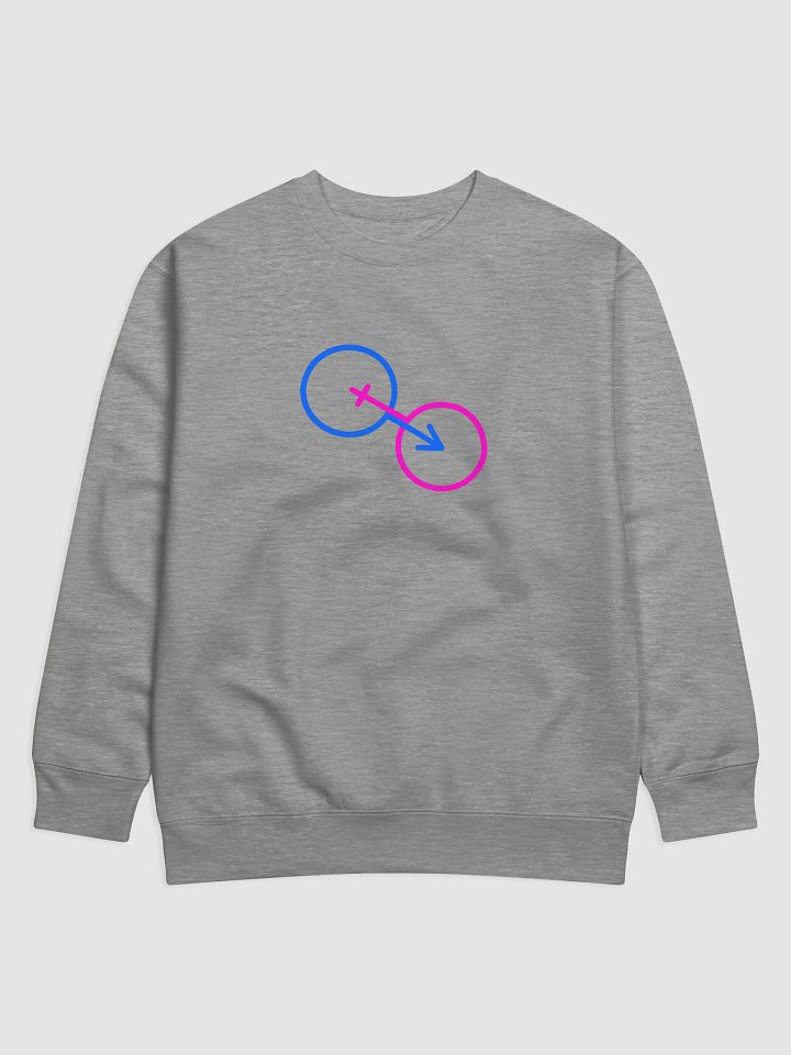 Male & Female Unity Sweatshirt product image (1)