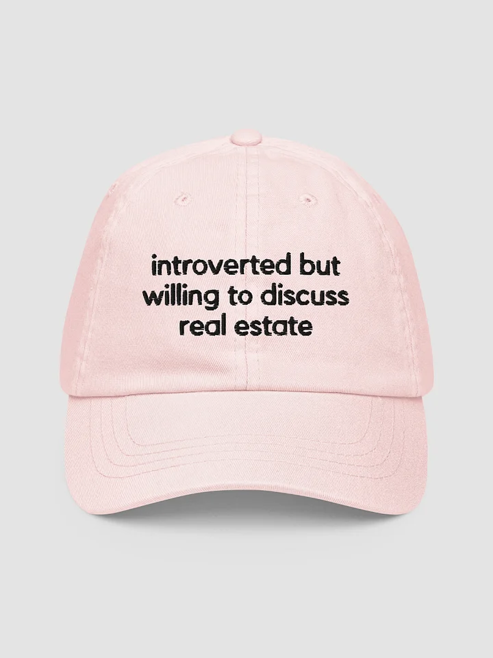 Introverted Pastel Dad Hat product image (1)